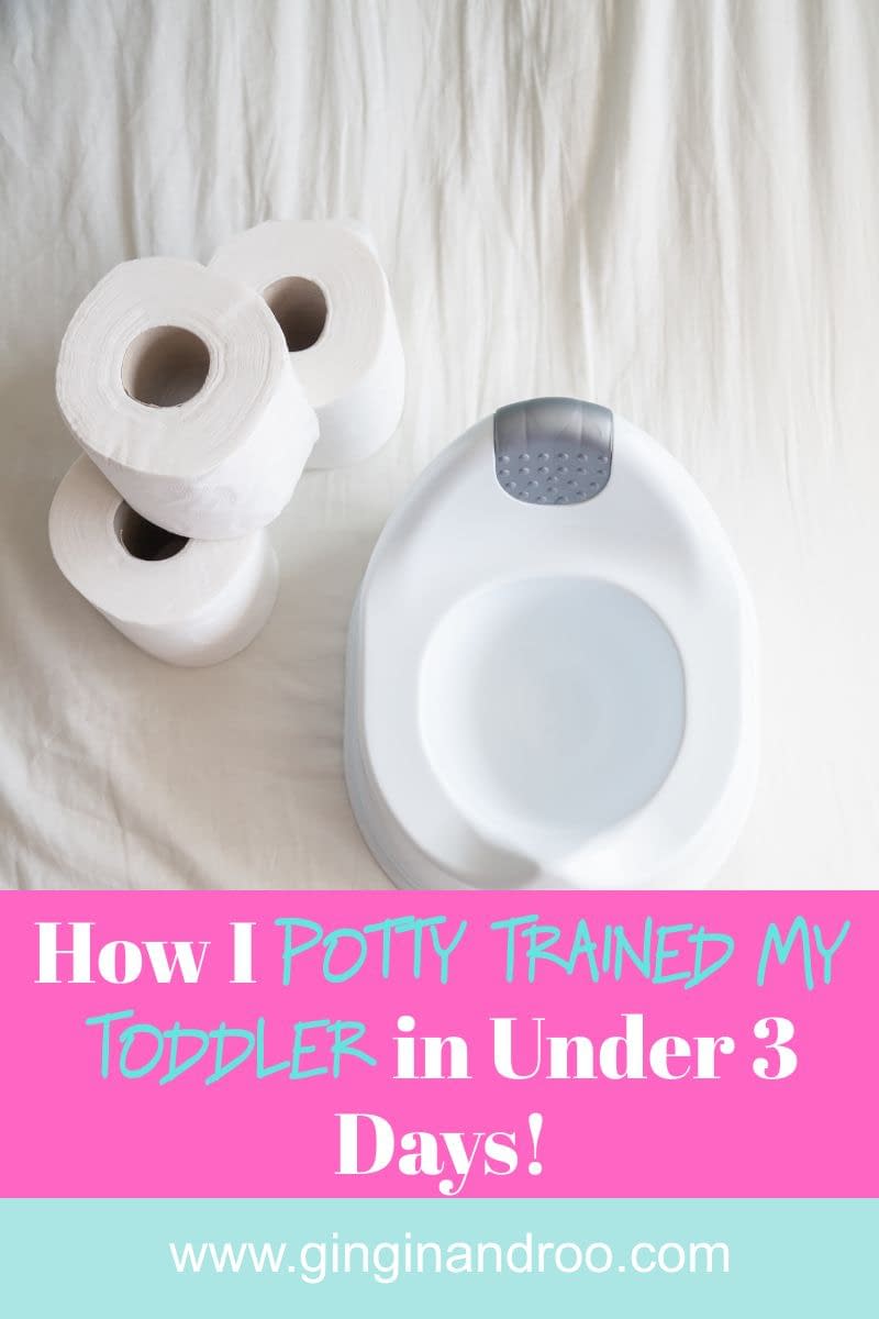 How I Potty Trained My Toddler In Under 3 Days Parenting Advice From GinGin and Roo